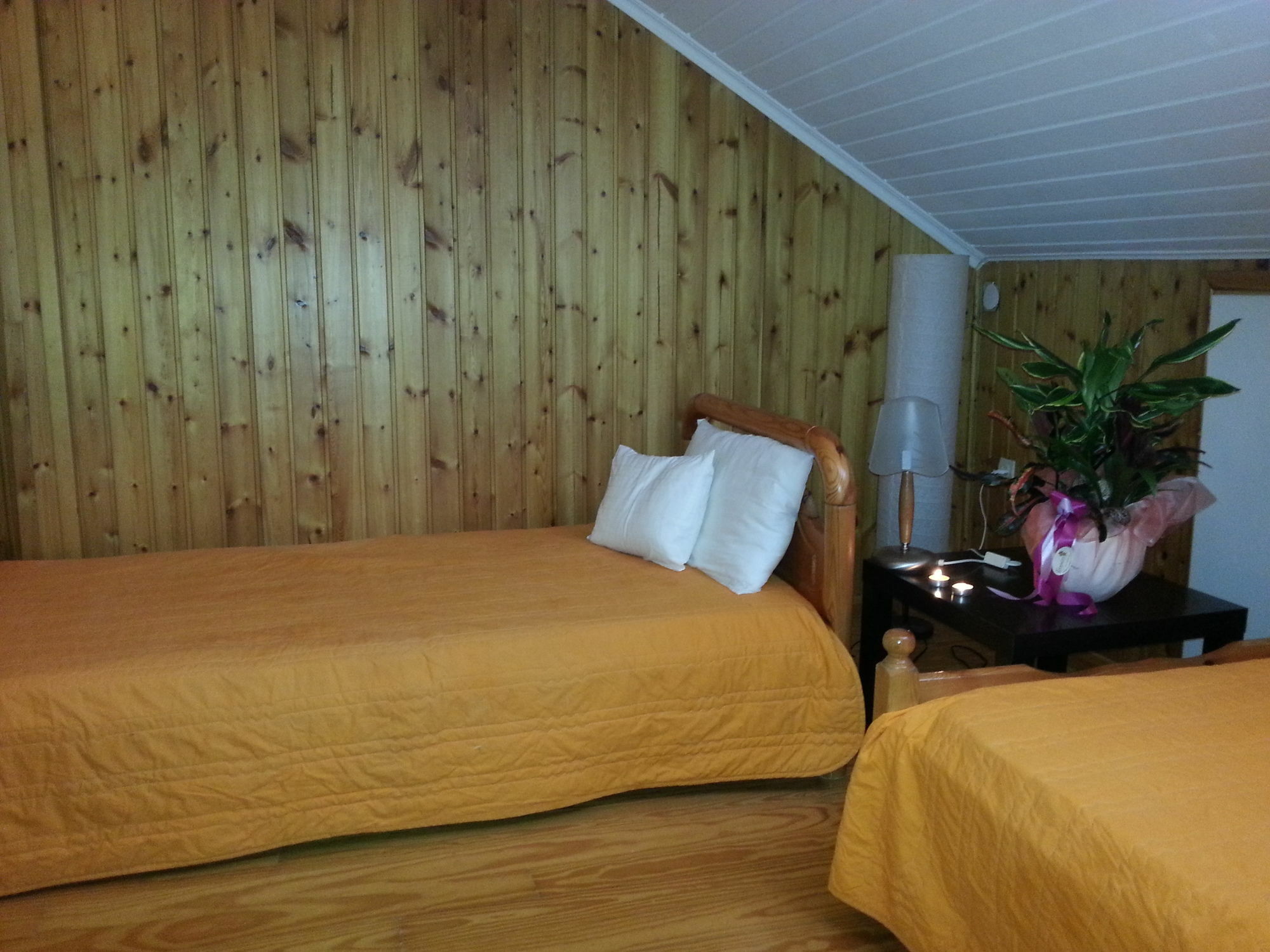Lefkada Center Apartments Luaran gambar